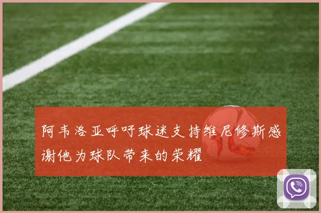 阿韦洛亚呼吁球迷支持维尼修斯感谢他为球队带来的荣耀