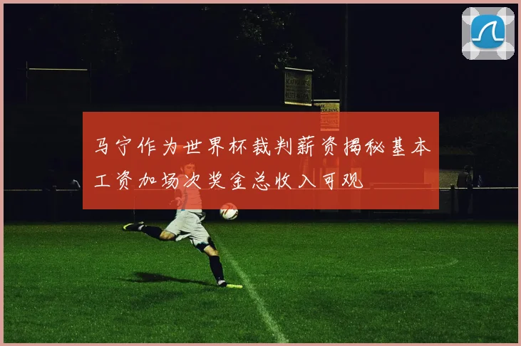 马宁作为世界杯裁判薪资揭秘基本工资加场次奖金总收入可观
